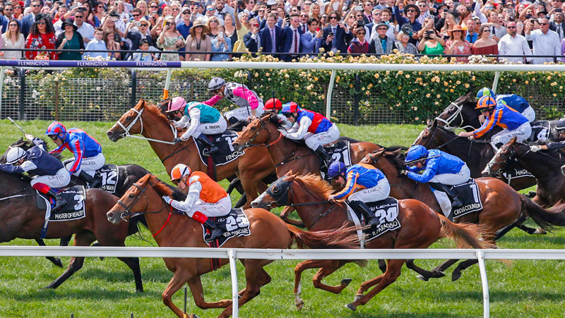 Melbourne Cup Winners